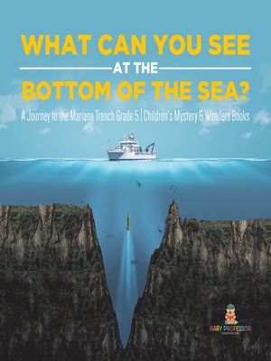 cover image of What Can You See in the Bottom of the Sea? a Journey to the Mariana Trench Grade 5--Children's Mystery & Wonders Books